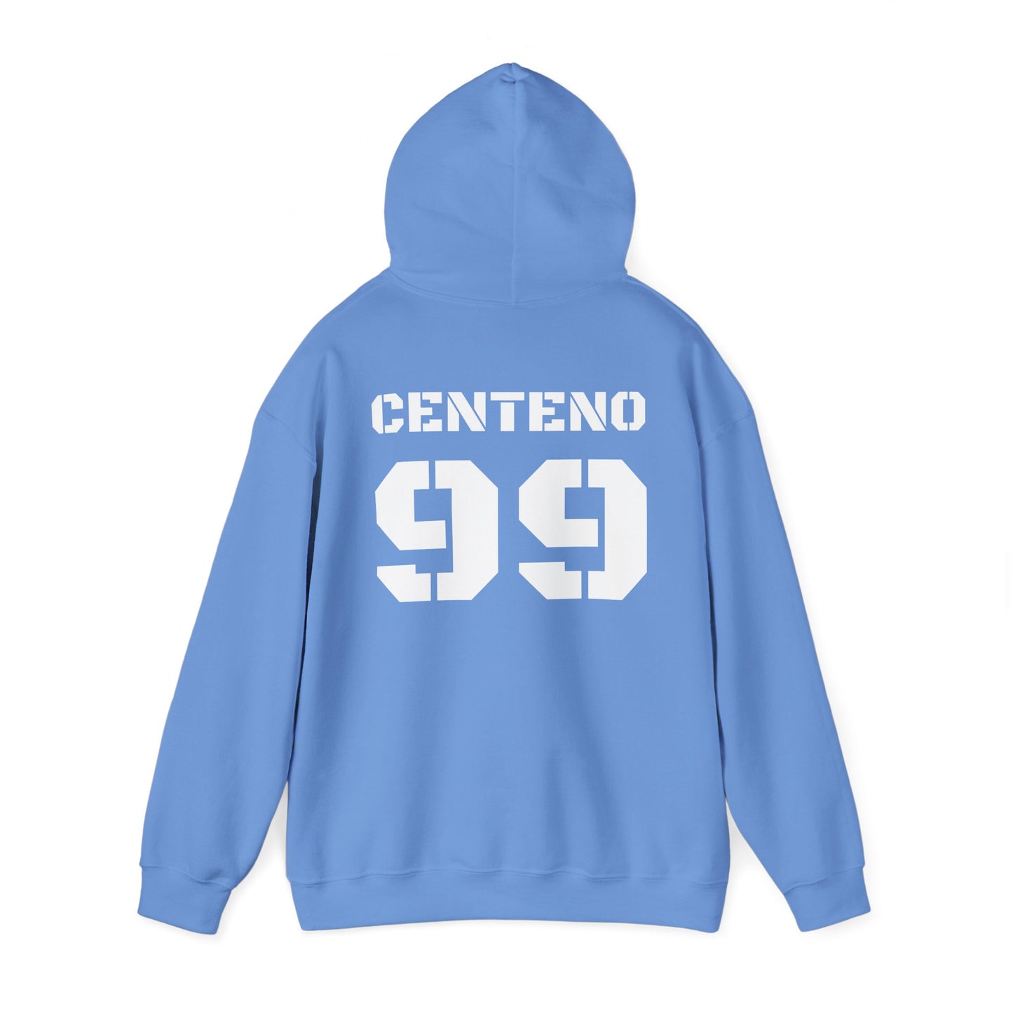 Heavy Blend™ Team Sport Hooded Sweatshirt